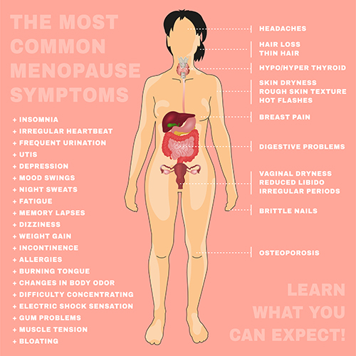 Does Menopause Affect Blood Count?